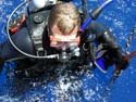 Bahamas Diving